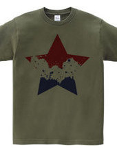 SIMPLE STAR (tricolor)