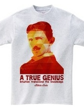 A True Genius - Nikola Tesla-