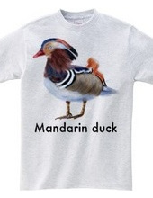 Mandarin duck