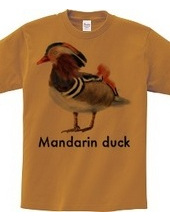 Mandarin duck