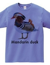 Mandarin duck