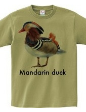 Mandarin duck