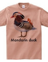 Mandarin duck