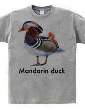 Mandarin duck