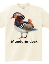 Mandarin duck