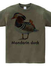 Mandarin duck