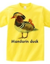 Mandarin duck