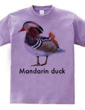 Mandarin duck