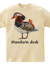 Mandarin duck