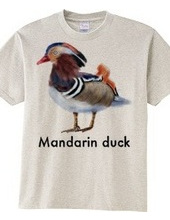 Mandarin duck