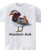 Mandarin duck