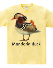 Mandarin duck