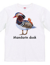 Mandarin duck