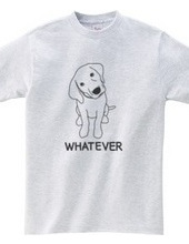 WHATEVER #01