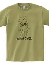 WHATEVER #01