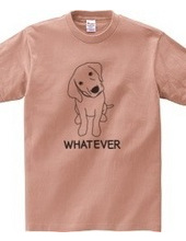 WHATEVER #01