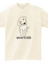 WHATEVER #01