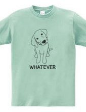 WHATEVER #01