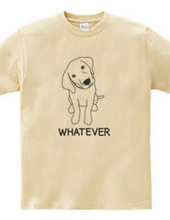 WHATEVER #01