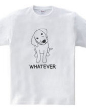 WHATEVER #01