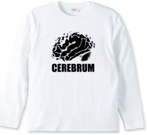 cerebrum