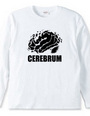 cerebrum