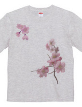 桜の模様