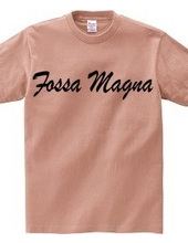 Fossa Magna