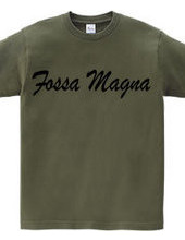 Fossa Magna