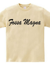 Fossa Magna