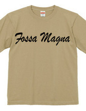 Fossa Magna