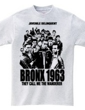 BRONX 1963