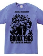 BRONX 1963