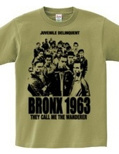 BRONX 1963