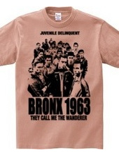 BRONX 1963