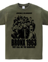 BRONX 1963