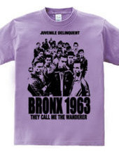 BRONX 1963