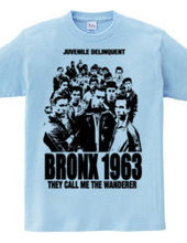 BRONX 1963