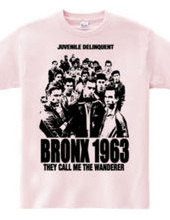 BRONX 1963