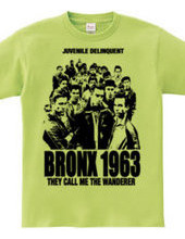 BRONX 1963