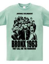 BRONX 1963