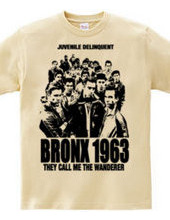 BRONX 1963