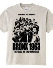 BRONX 1963