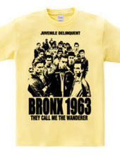 BRONX 1963