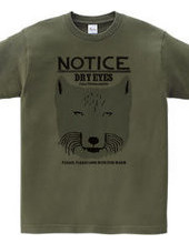 Tibetan fox NOTICE-FACE-A