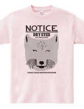 Tibetan fox NOTICE-FACE-A