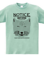 Tibetan fox NOTICE-FACE-A