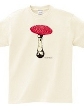 Amanita Muscaria