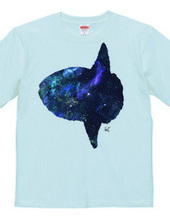 Cosmic Ocean Sunfish