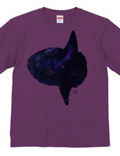 Cosmic Ocean Sunfish